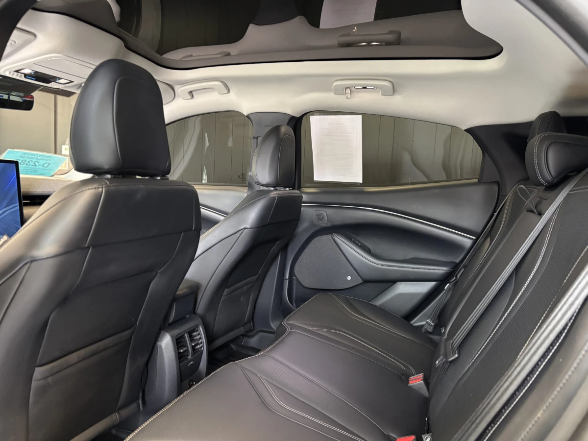2021 Ford Mustang Mach-E Premium AWD - Photo 9