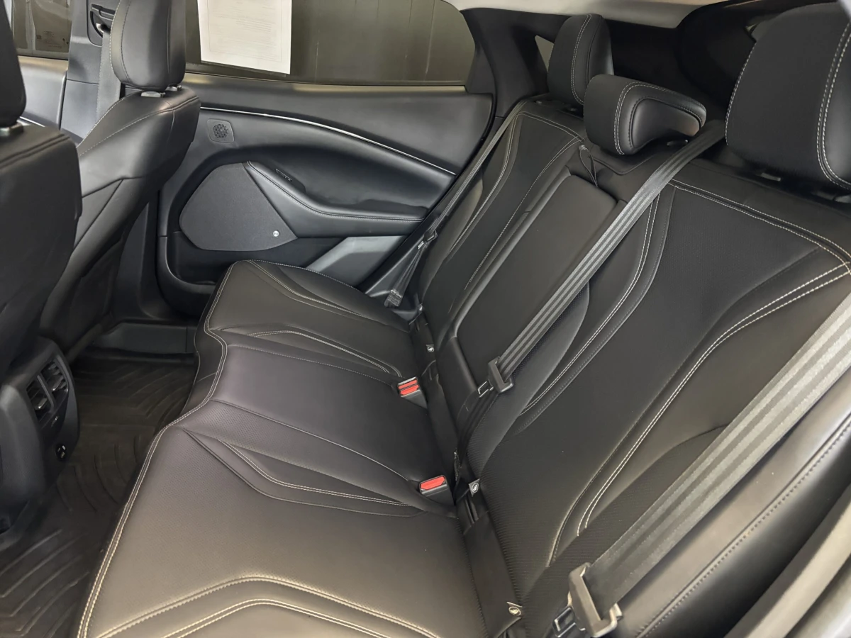 2021 Ford Mustang Mach-E Premium AWD - Photo 10