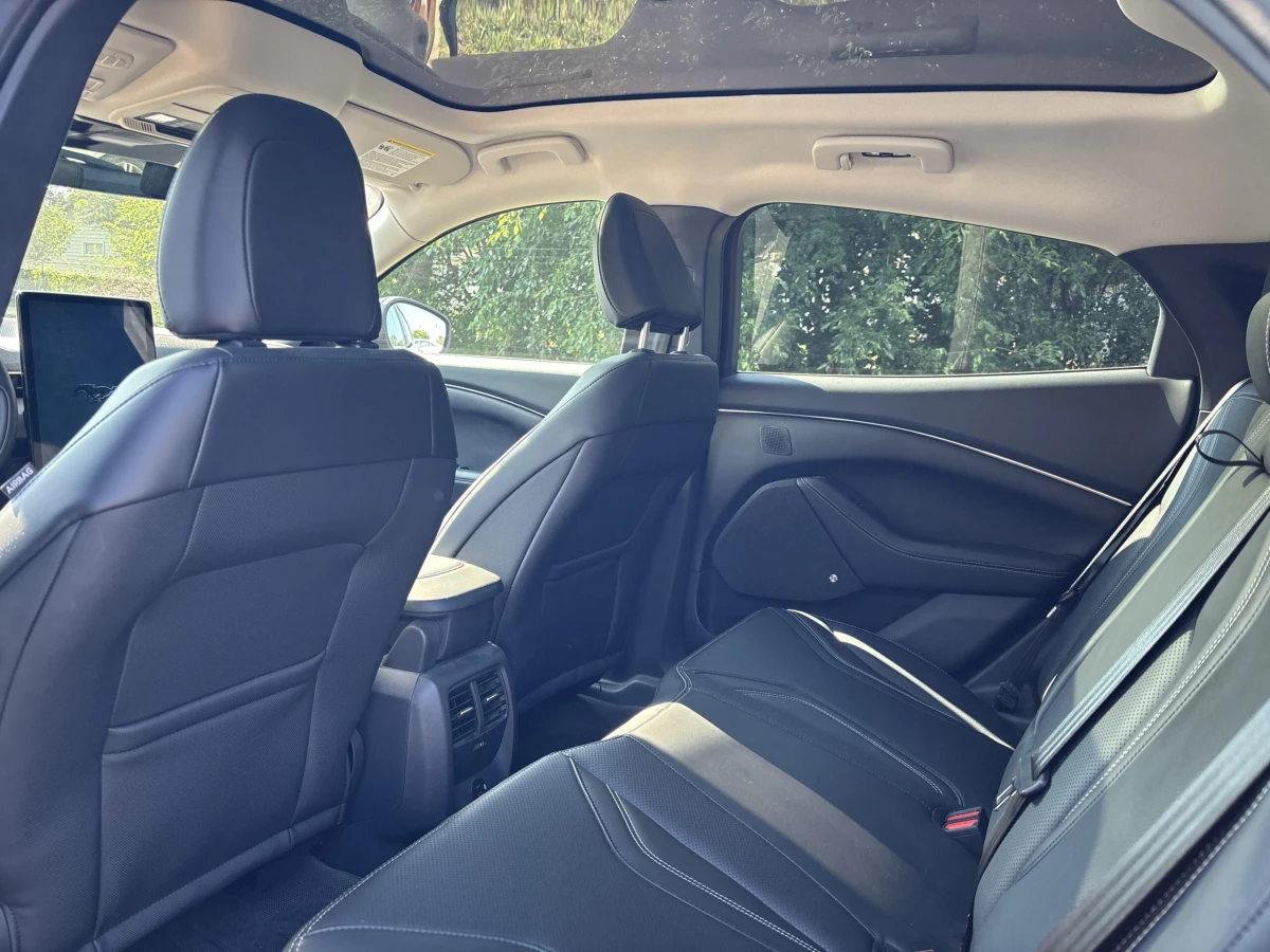 2021 Ford Mustang Mach-E Premium RWD - Photo 9