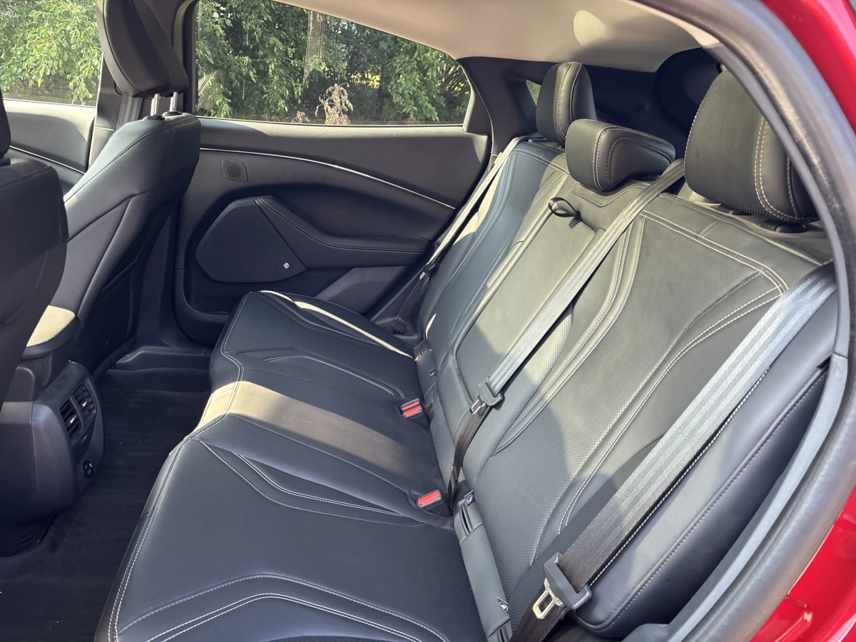 2021 Ford Mustang Mach-E Premium RWD - Photo 10